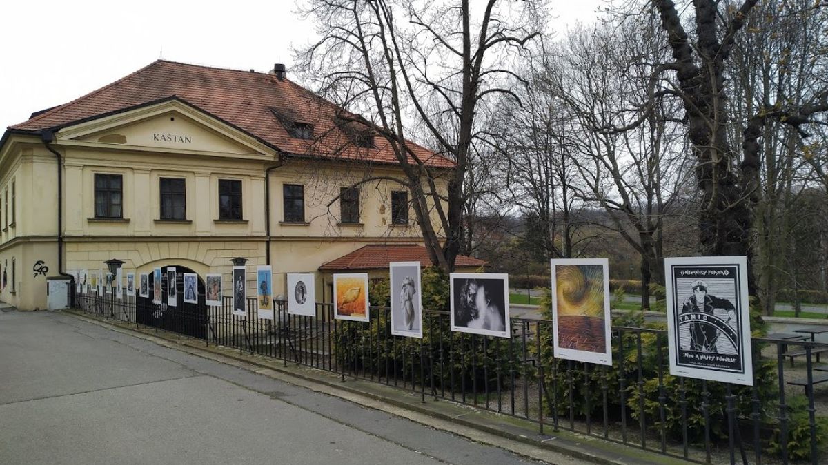 Ze zavřených galerií: Výstava na plotě pražského Kaštanu